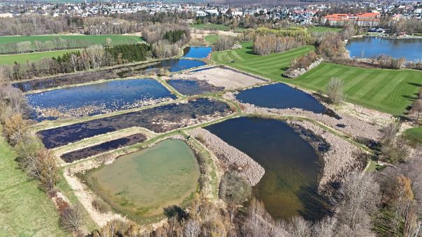 Frühling aus der Vogelperspektive: Unsere Schimmels Teiche – neuer vielgestaltiger Lebensraum für zahlreiche Arten © M. Pfeifer